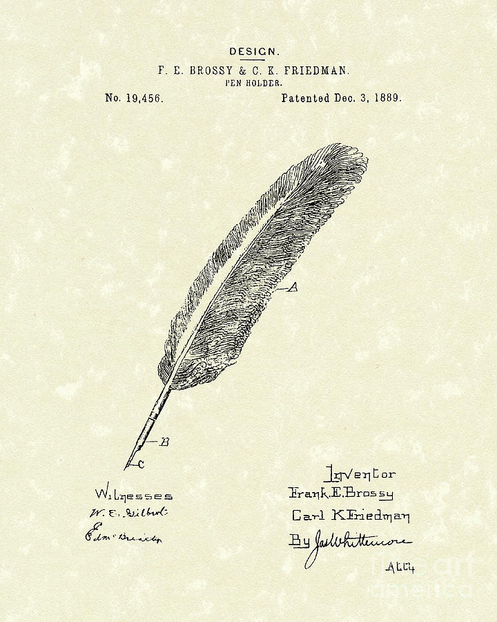 720x900 Feather Pen Drawings Fine Art America - Feather Pen Drawing