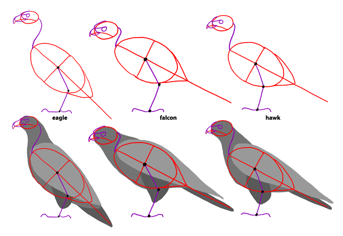 700x483 How To Draw Birds Step - Feather Turning Into Birds Drawing