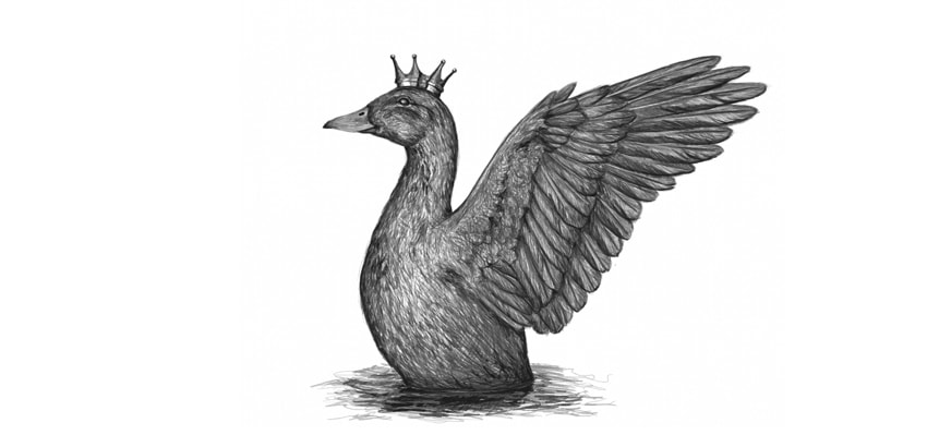 850x399 How To Draw Feathers - Feather Turning Into Birds Drawing