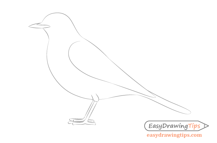 728x480 How To Draw A Bird Step - Feather Turning Into Birds Drawing