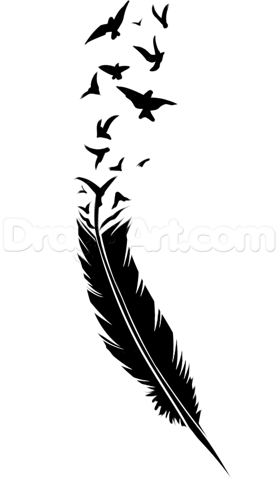 550x948 how to draw a black feather, black feather tattoo, step - Feather Turning Into Birds Drawing