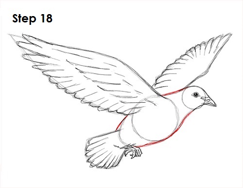 500x386 How To Draw A Dove - Feather Turning Into Birds Drawing