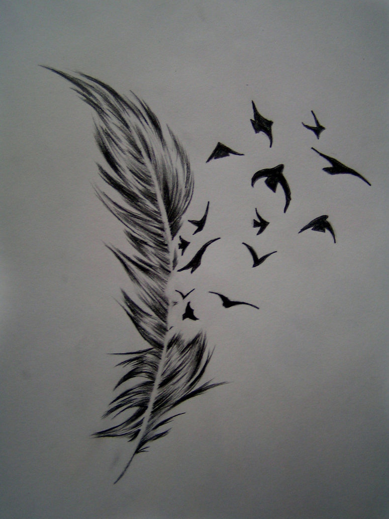 774x1032 Beautiful Bird Of A Feather Tattoo Design Sketch - Feather Turning Into Birds Drawing