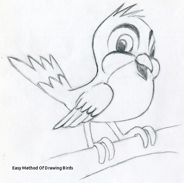 600x596 easy method of drawing birds feather with birds drawing - Feather Turning Into Birds Drawing