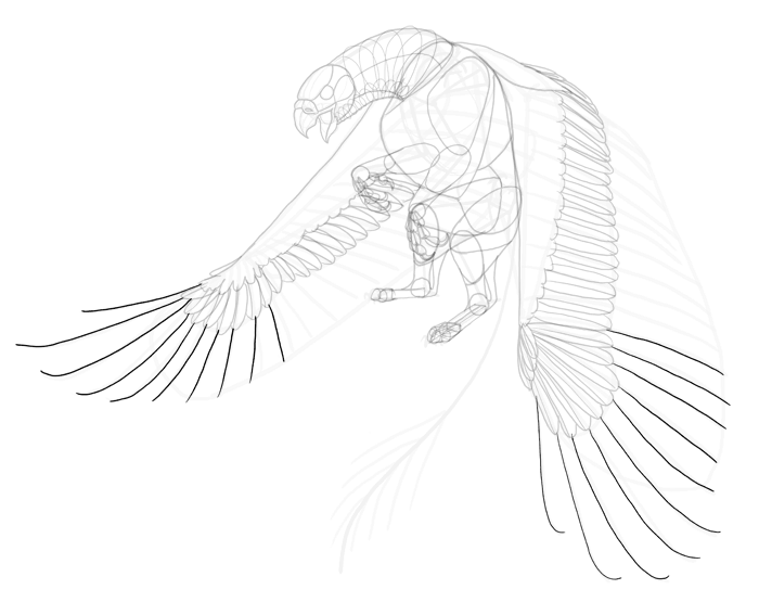 700x567 How To Draw A Griffin - Feather Wings Drawing