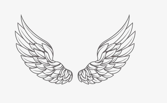 650x400 one pair of feather wings, wing, vector, linear wings png - Feather Wings Drawing