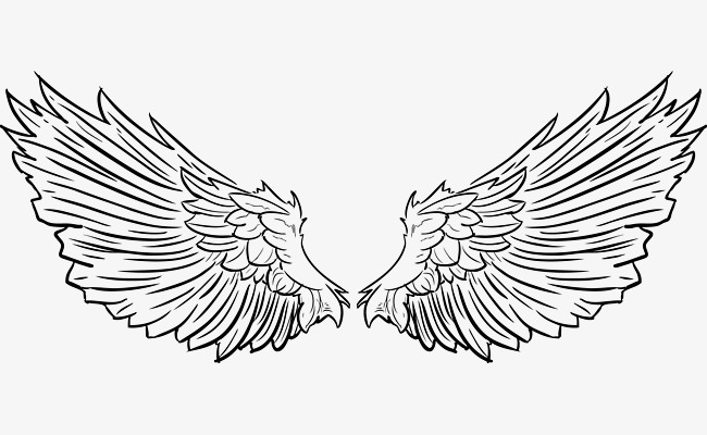 650x400 Vector Tattoo Feathered Wings With Short Feathers, Tattoo Vector - Feather Wings Drawing