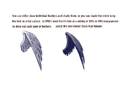 500x358 Animal Drawing Tutorial - Feather Wings Drawing