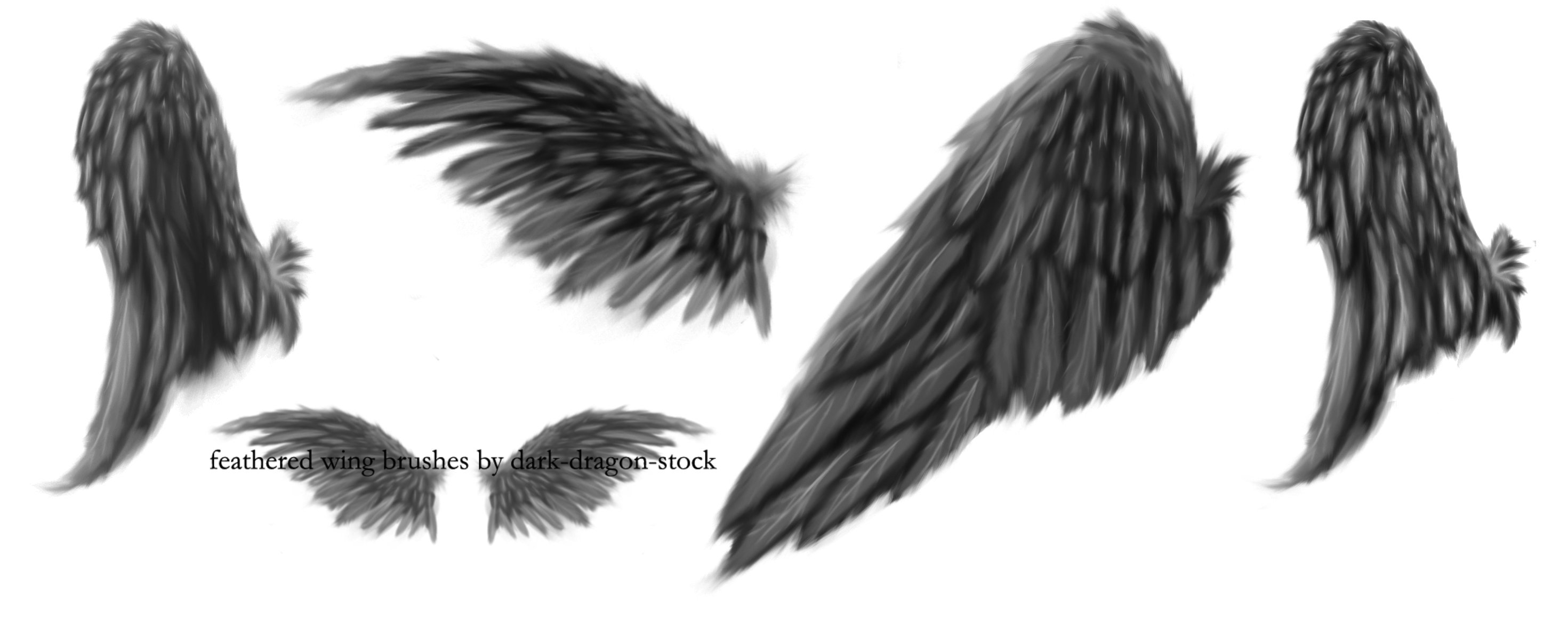 2941x1161 Feathered Wing Brushes - Feather Wings Drawing