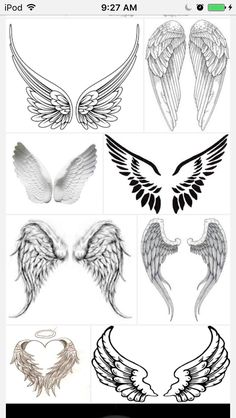 236x418 how to draw feathered wings hand drawn wings vector illustration - Feather Wings Drawing