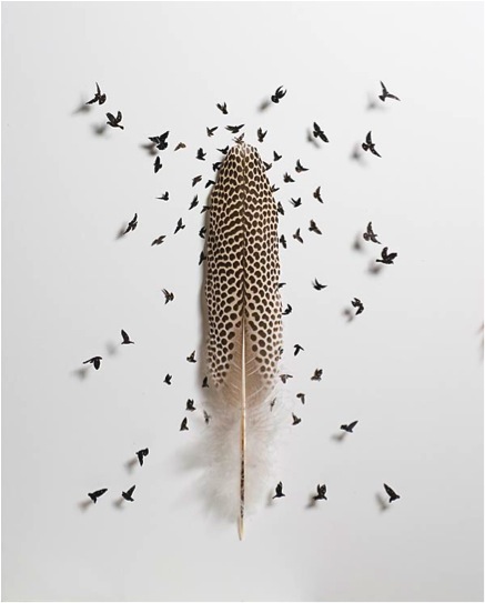 437x543 Chris Maynard Zoneone Arts - Feather With Birds Drawing