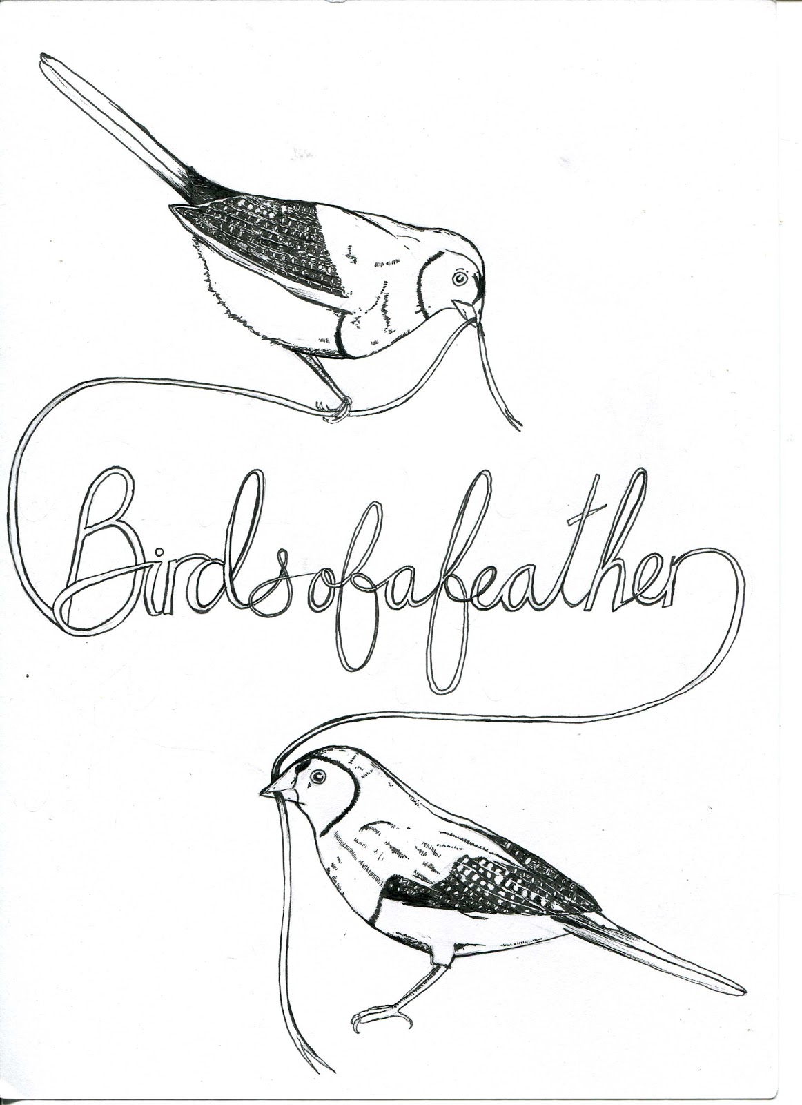 1162x1600 Feather Drawings With Birds - Feather With Birds Drawing