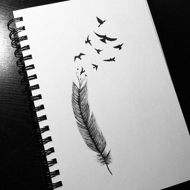604x604 feather bird drawing artwork feather drawing, drawings, bird - Feather With Birds Drawing