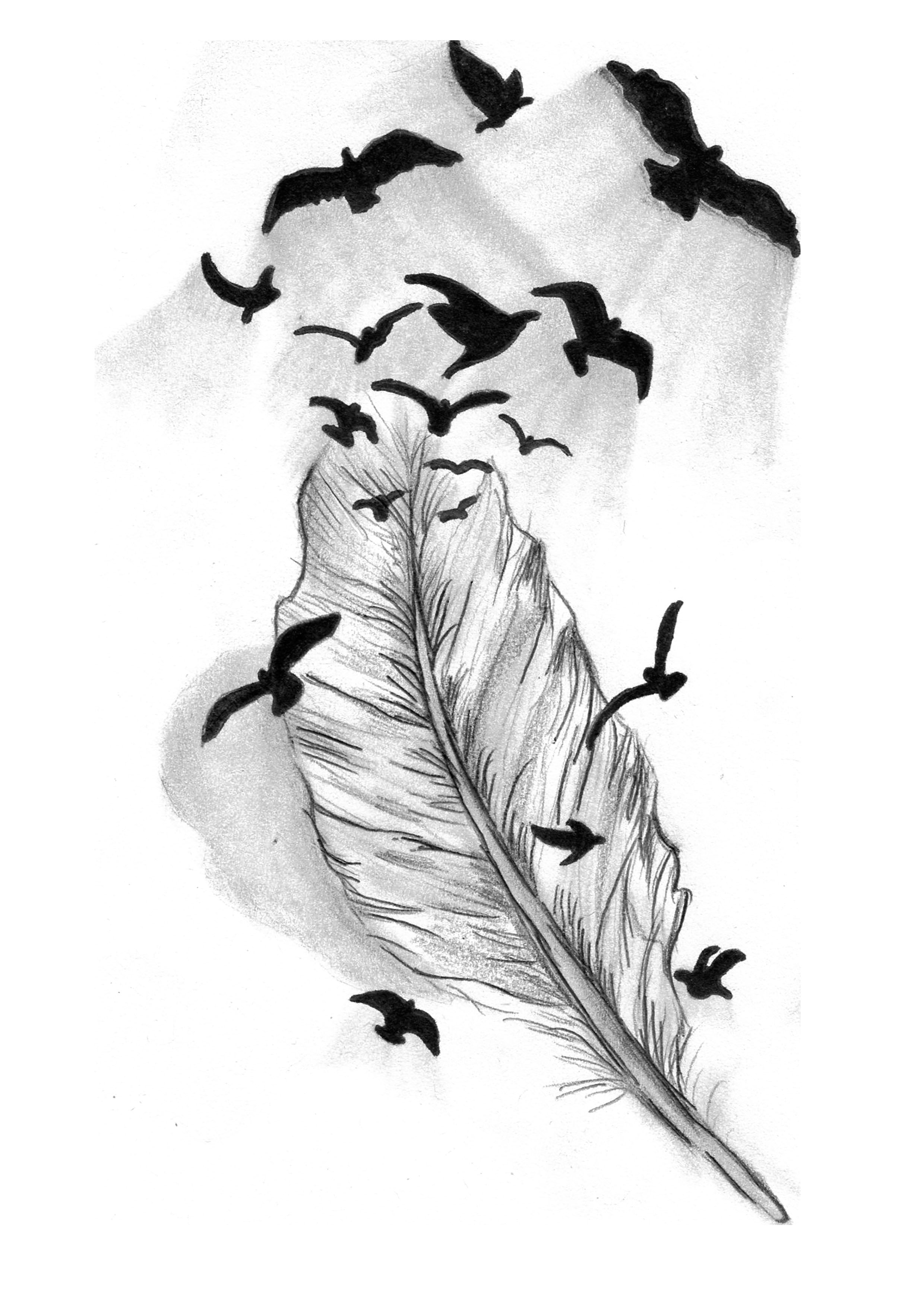 Feather With Birds Drawing at Explore collection