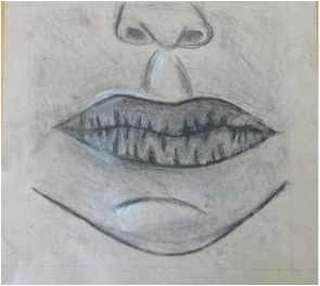 295x264 Drawings - Feature Drawing