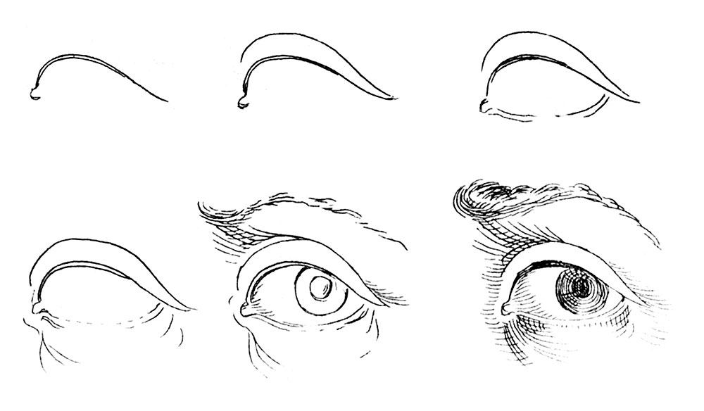 1000x584 learning to see and the feedback loop sight size - Feedback Drawing