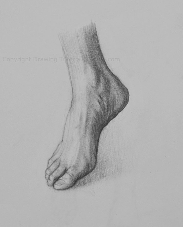 Skeleton Feet Drawing at PaintingValley.com | Explore collection of ...