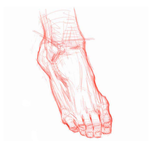 512x473 Figure Drawing Feet - Feet Drawing