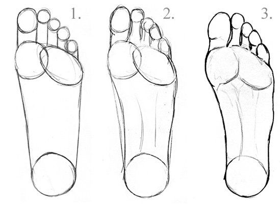 549x400 Learn To Draw Feet - Feet Drawing