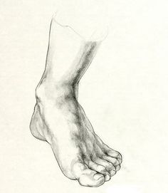 236x271 Drawing Of Feet - Feet Drawing