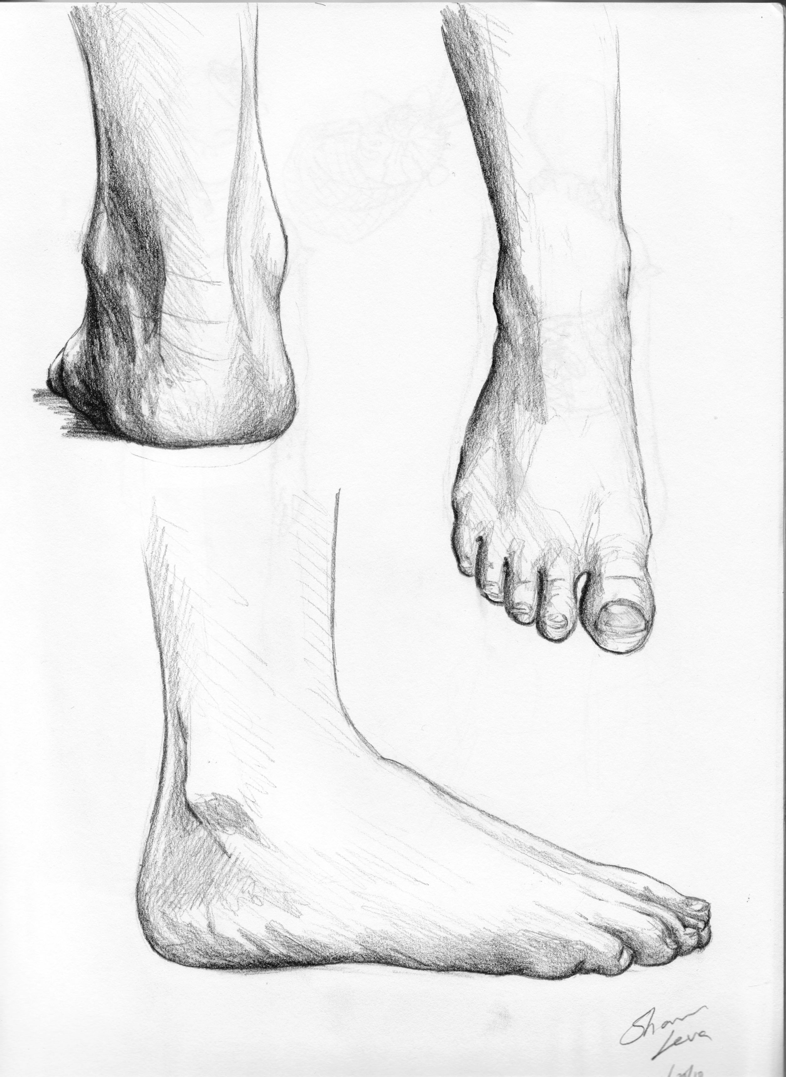2508x3436 And Now I Drew Some Feet The Shaunart Blog - Feet Drawing