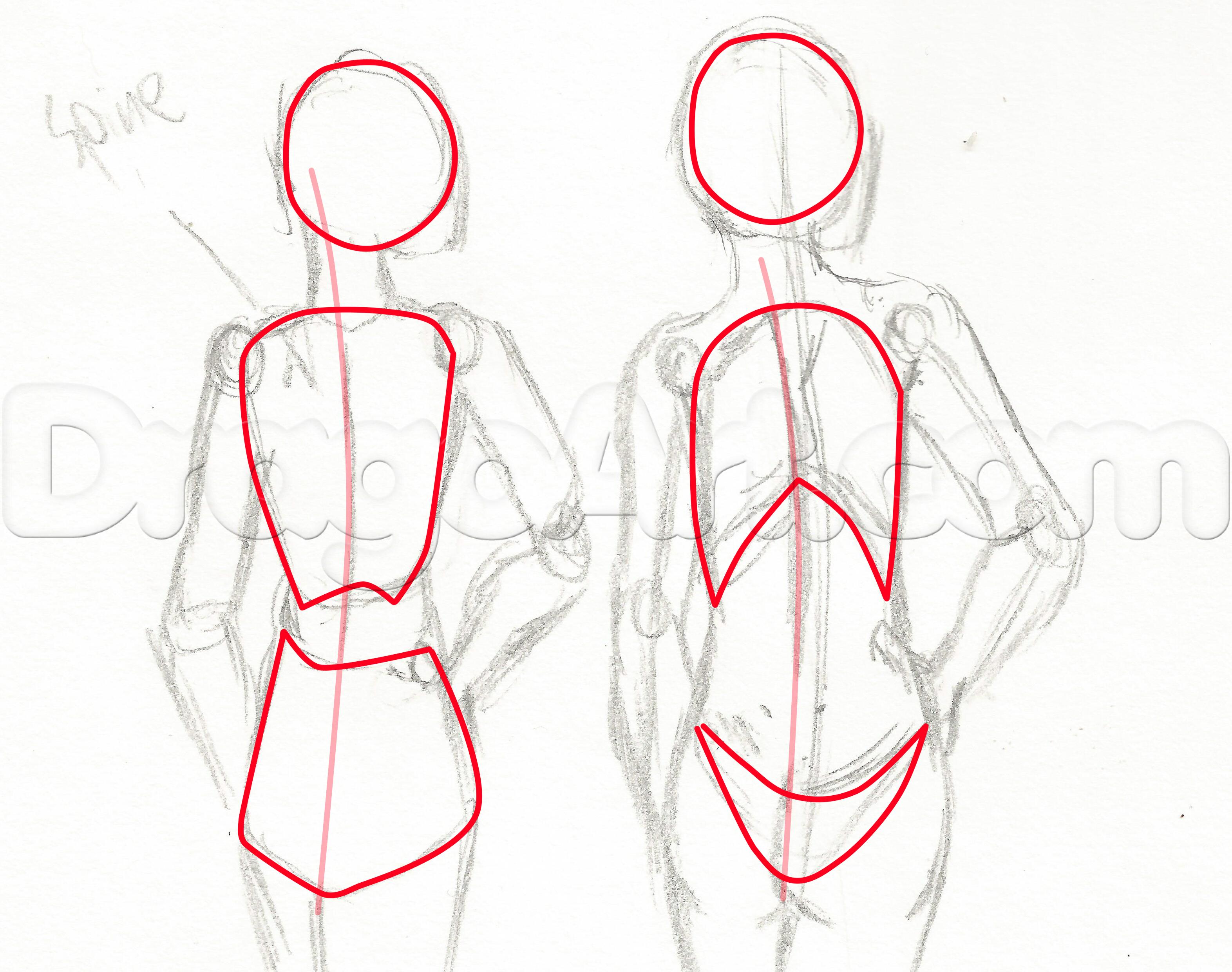 3145x2481 Female Anatomy, Figures, General Figure Drawing And Stylizing - Female Anatomy Drawing