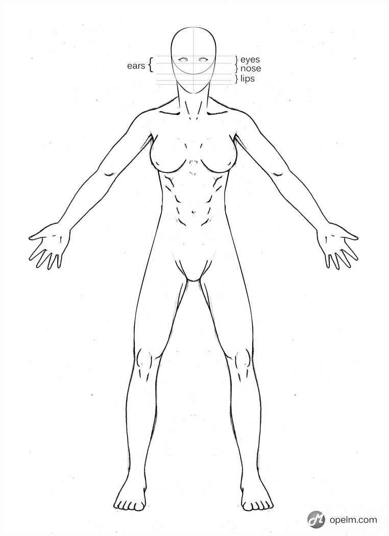 762x1048 Female Anatomy Drawing Model - Female Anatomy Drawing