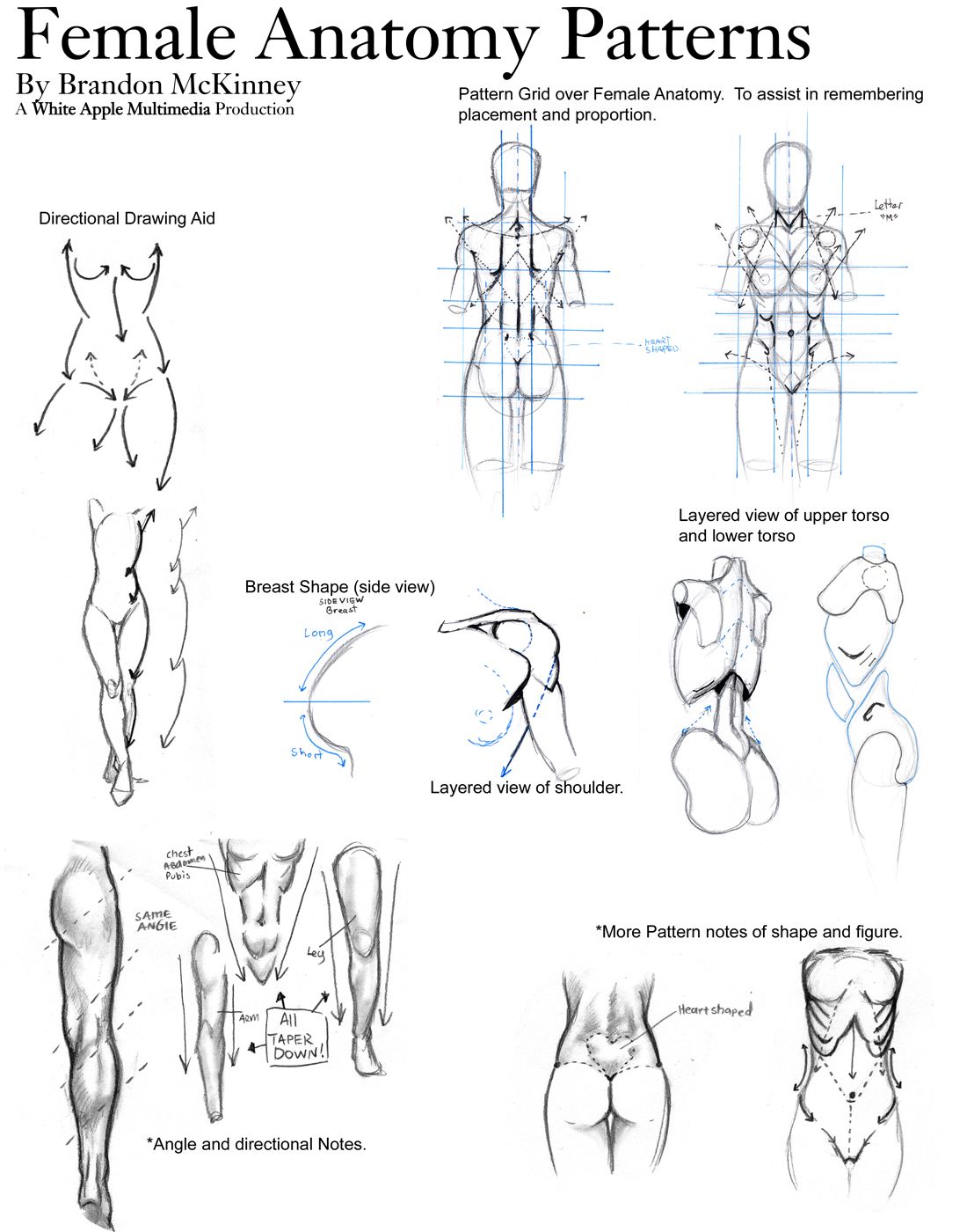 1100x1400 Female Anatomy Patterns - Female Anatomy Drawing