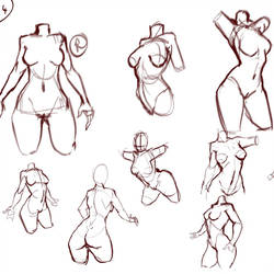 250x250 Female Anatomy Studies - Female Anatomy Drawing