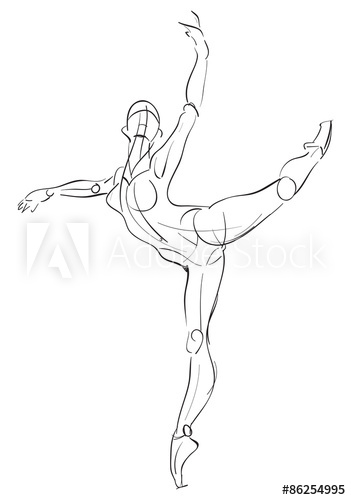 351x500 Female Anatomy Drawing Sketch - Female Anatomy Drawing