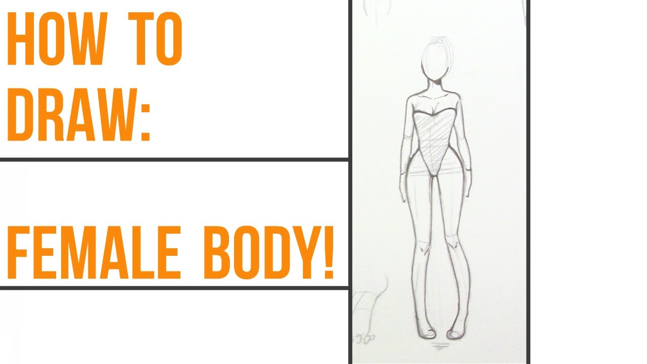 1280x720 How To Draw Female Anatomy! Step - Female Anatomy Drawing