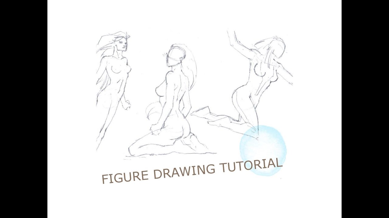 1280x720 Drawing Human Anatomy - Female Anatomy Drawing