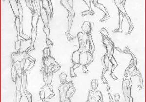 300x210 How To Draw Female Anatomy How To Draw The Female Body - Female Body Anatomy Drawing