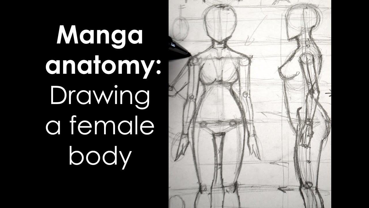 1280x720 Manga Anatomy How To Draw Female Body Full Lesson - Female Body Anatomy Drawing
