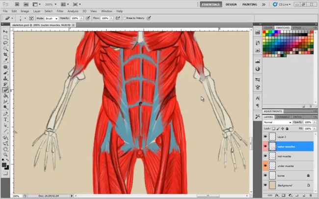 650x407 Udemy Easy Steps To Figure Drawing Anatomy Of Male Female - Female Body Anatomy Drawing