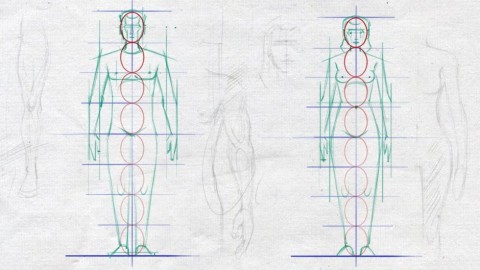 480x270 Off Easy Steps To Figure Drawing - Female Body Anatomy Drawing