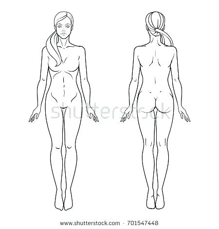 450x470 Human Body Outline Image Drawing Figure Template - Female Body Drawing Template