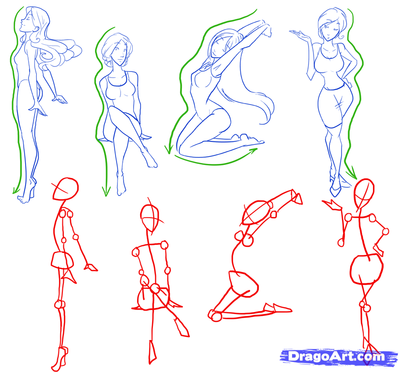 800x740 how to draw female figures, draw female bodies toons mag - Female Body Figure Drawing