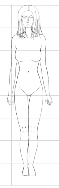 191x600 The Female Human Body Proportions - Female Body Figure Drawing