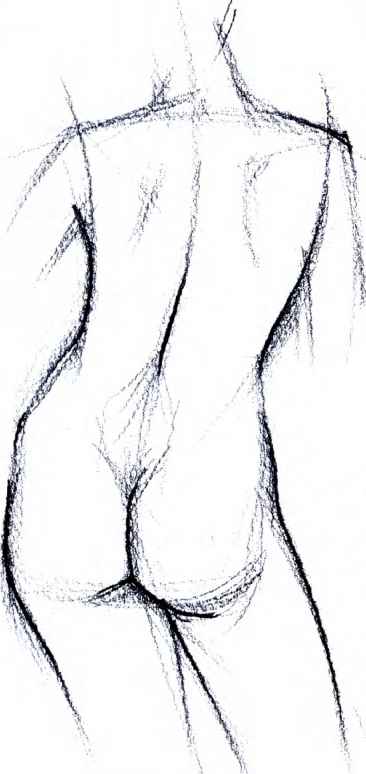 366x774 The Female Torso - Female Body Figure Drawing
