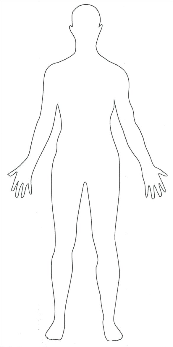 585x1170 Female Human Body Outline Drawing At Free For Human Figure - Female Body Outline Drawing
