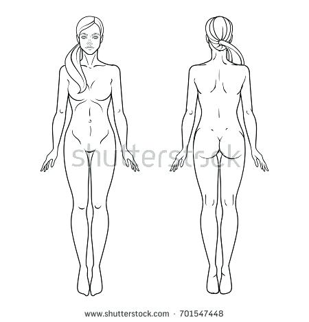 450x470 Huge Collection Of 'female Body Drawing Template' Download More - Female Body Outline Drawing