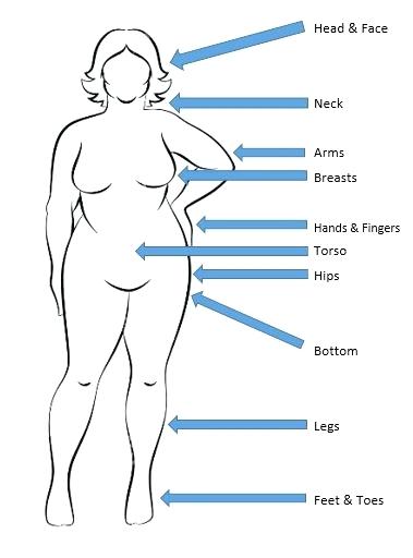 379x512 Medical Human Body Outline Drawing At Free For Pics Of Parts - Female Body Outline Drawing