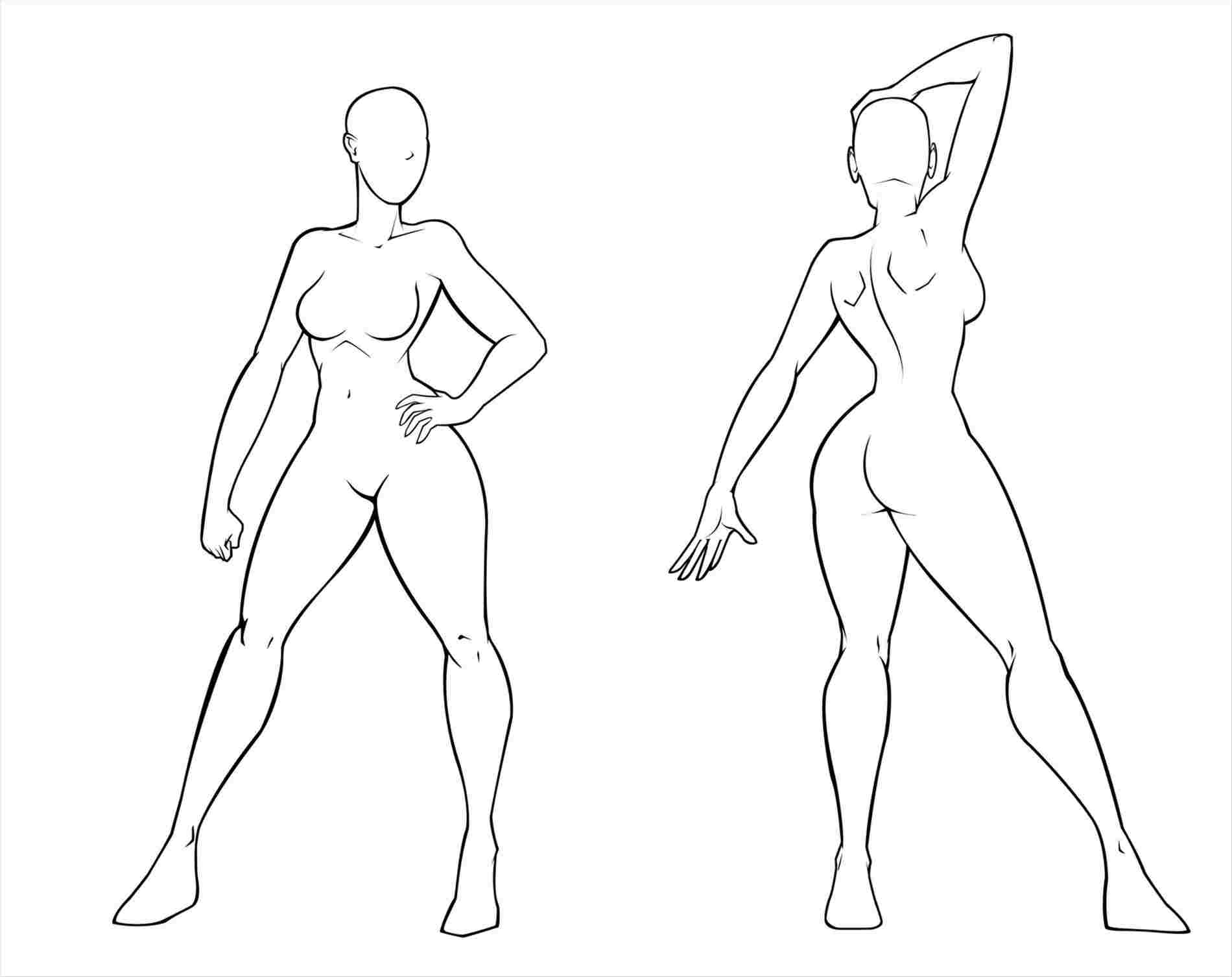 1900x1506 Female Human Body Outline Drawing - Female Body Outline Drawing