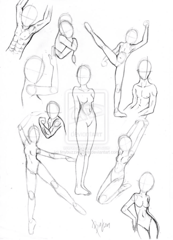 Female Body Reference Drawing At Paintingvalley Com Explore Collection Of Female Body