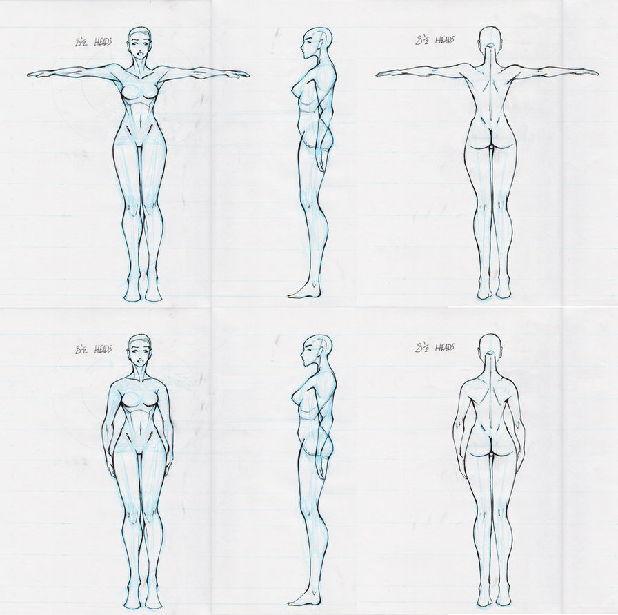 896x891 Female Body Reference Drawing - Female Body Reference Drawing