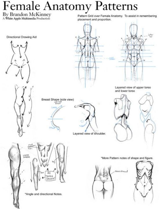 566x720 drawing refs simple human for free download - Female Body Reference Drawing