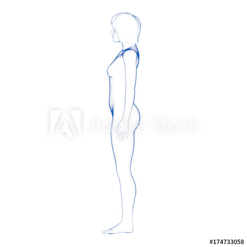 500x500 female body shape, side - Female Body Shape Drawing
