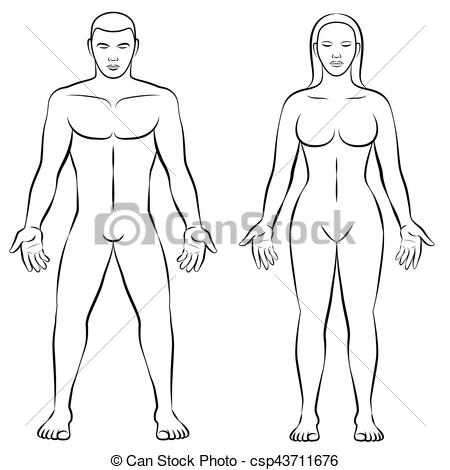 450x470 female body shape male body mass illustration man and woman - Female Body Shape Drawing