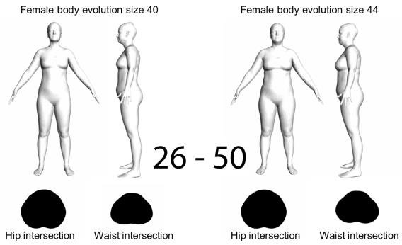 568x346 Evolution Of Body Shape In Terms Of Age - Female Body Shape Drawing